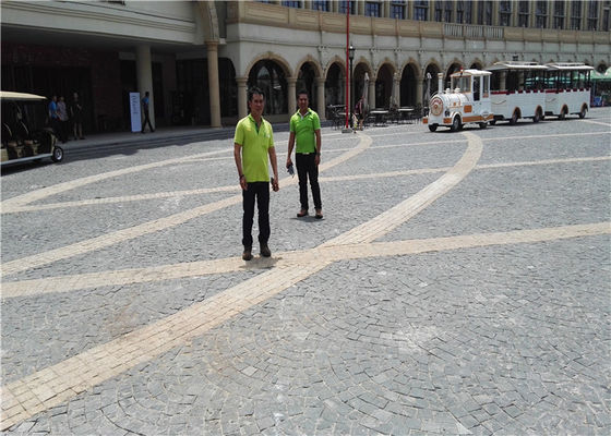 Conveyor Belt Vulcanizer for Belt Joint at Temperature Range of 0-200C and Curing Temperature of 145-199 Degree